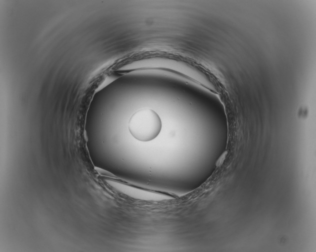 X0000091980872200709201424