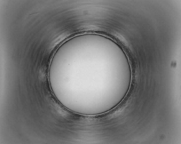 X0000091980873200709201424