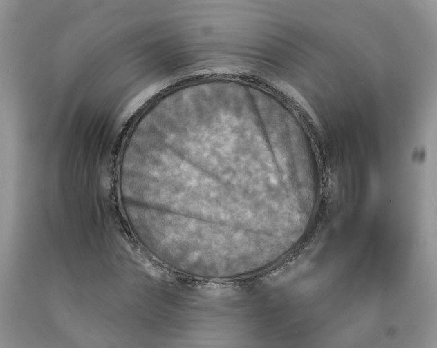 X0000091980874200709201424