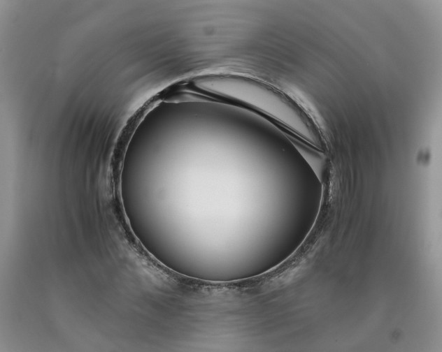 X0000091980876200709201424