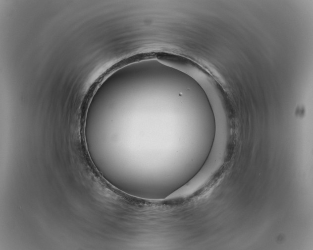 X0000091980877200709201424