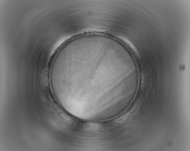 X0000091980878200709201424