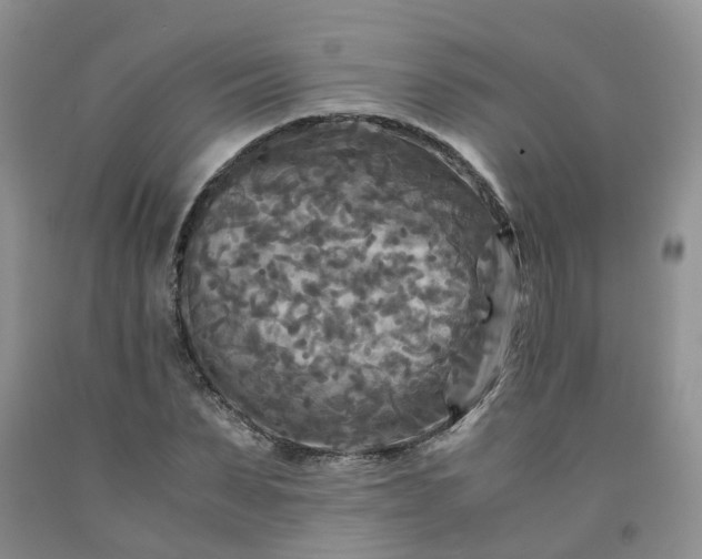 X0000091980879200709201424