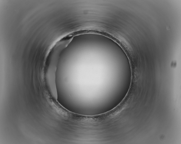 X0000091980880200709201424