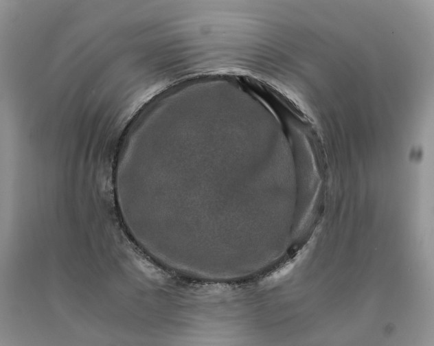 X0000091980881200709201424