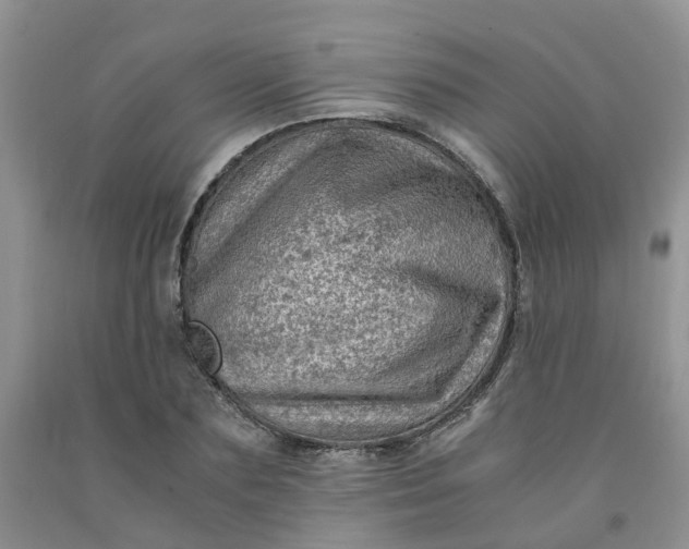 X0000091980883200709201424