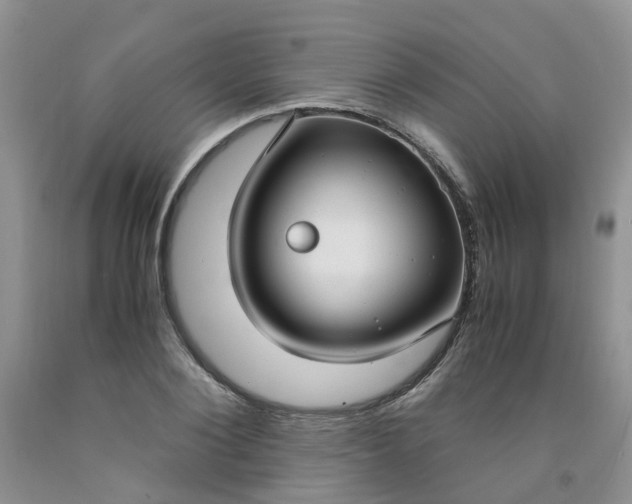 X0000091980884200709201424