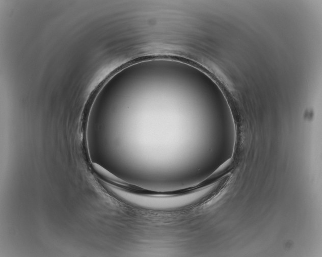 X0000091980885200709201424