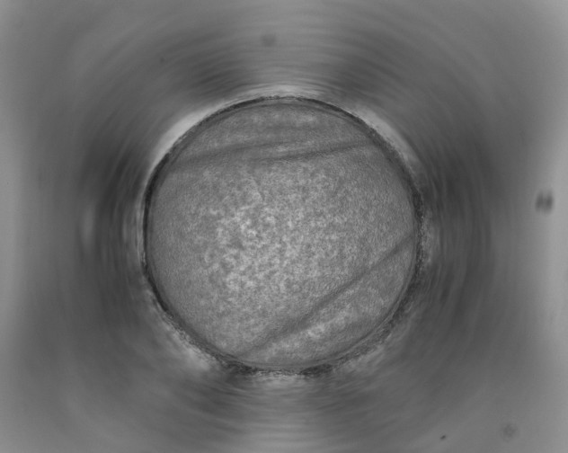 X0000091980886200709201424