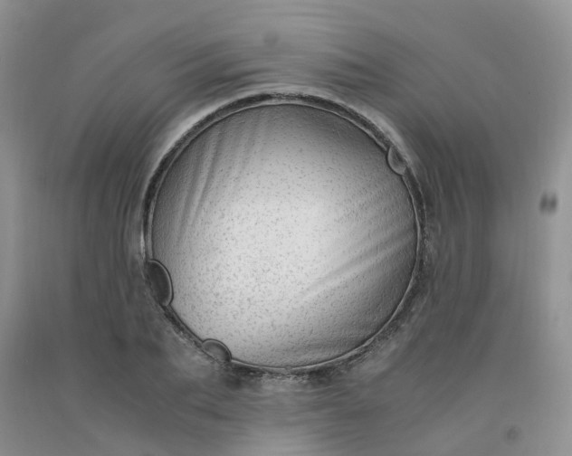 X0000091980887200709201424