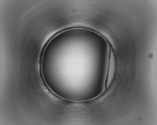 X0000091980888200709201424