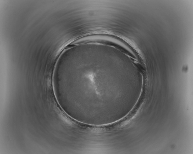 X0000091980889200709201424