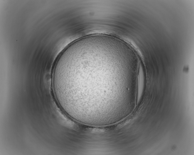 X0000091980890200709201424