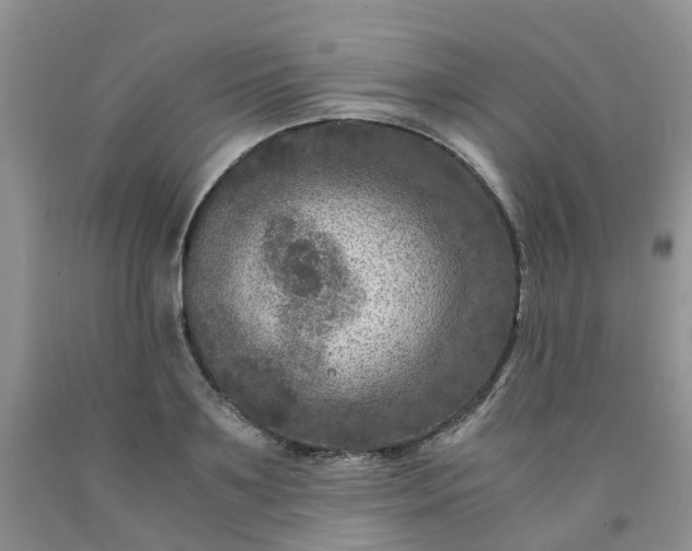 X0000091980891200709201424