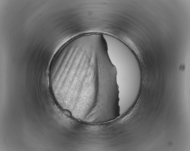 X0000091980892200709201424