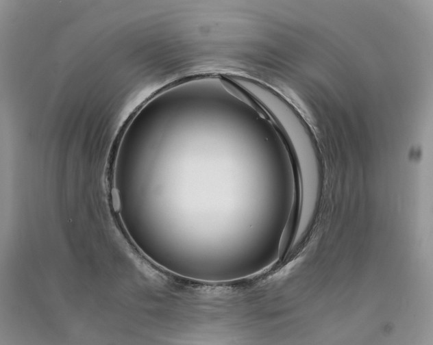 X0000091980893200709201424