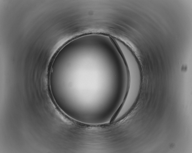 X0000091980894200709201424