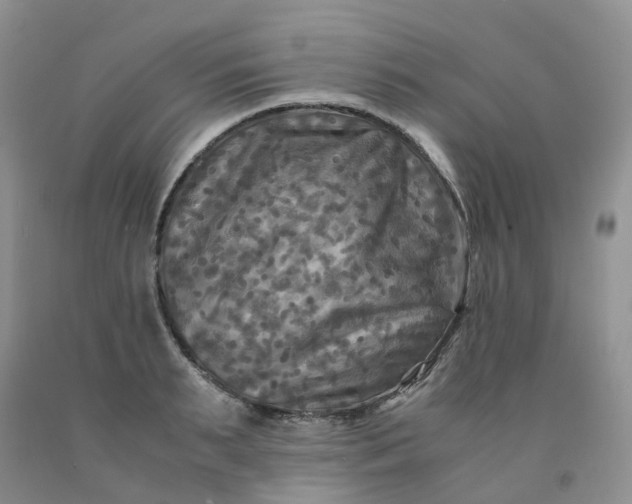 X0000091980895200709201424