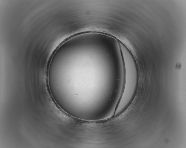 X0000091980896200709201424