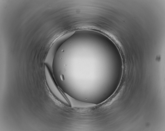 X0000091980897200709201424