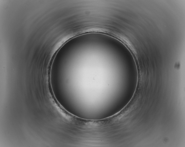 X0000091980898200709201424