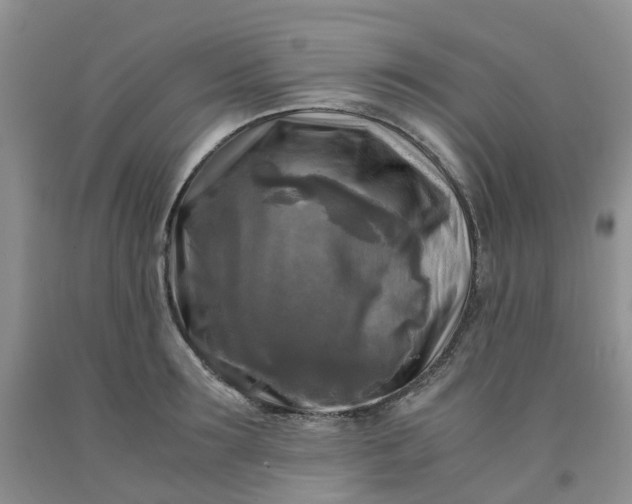 X0000091980899200709201424