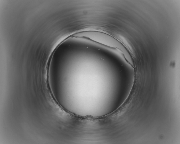 X0000091980900200709201424