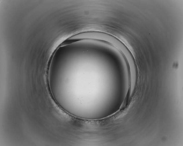 X0000091980901200709201424