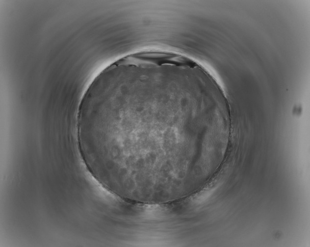 X0000091980903200709201424