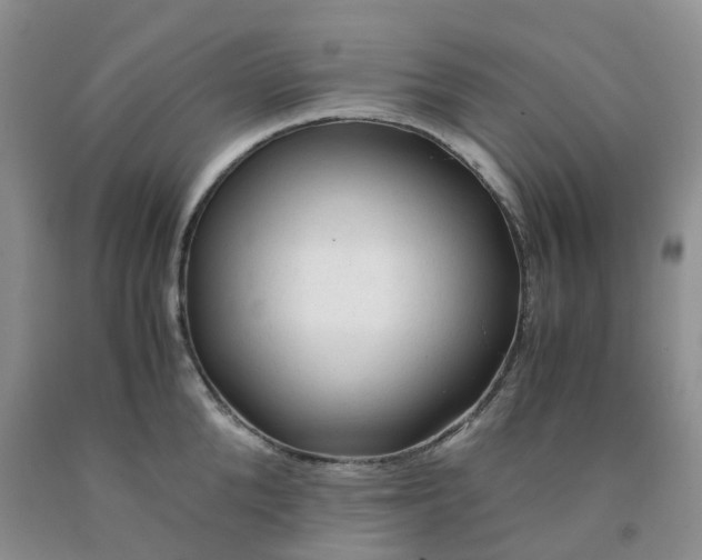 X0000091980904200709201424