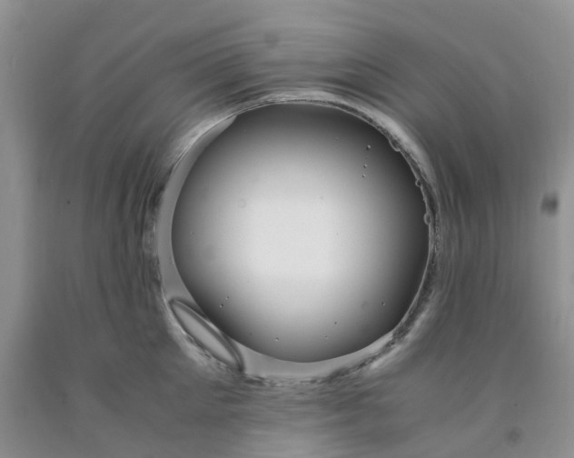 X0000091980905200709201424