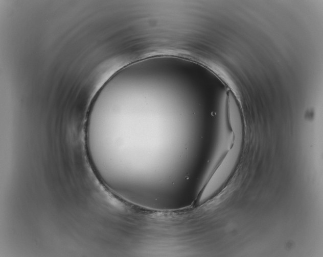 X0000091980906200709201424