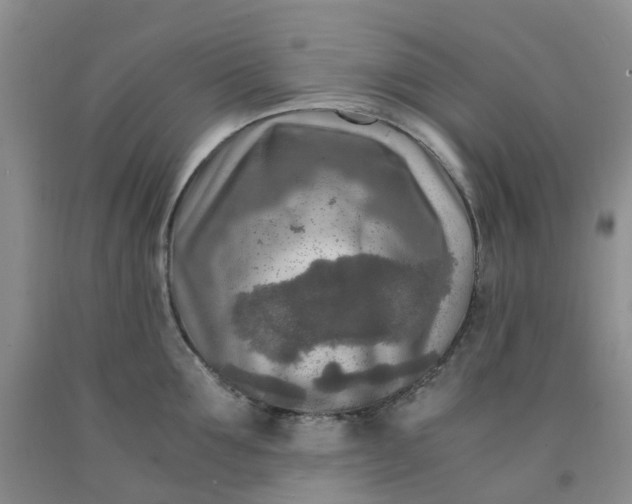 X0000091980907200709201424