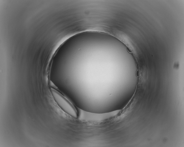 X0000091980908200709201424