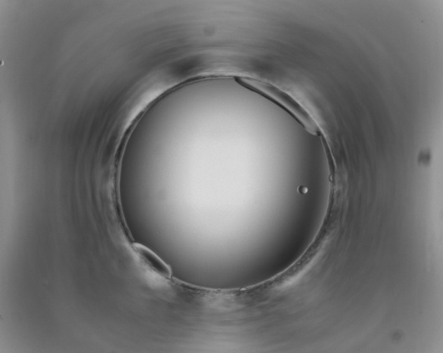 X0000091980909200709201424