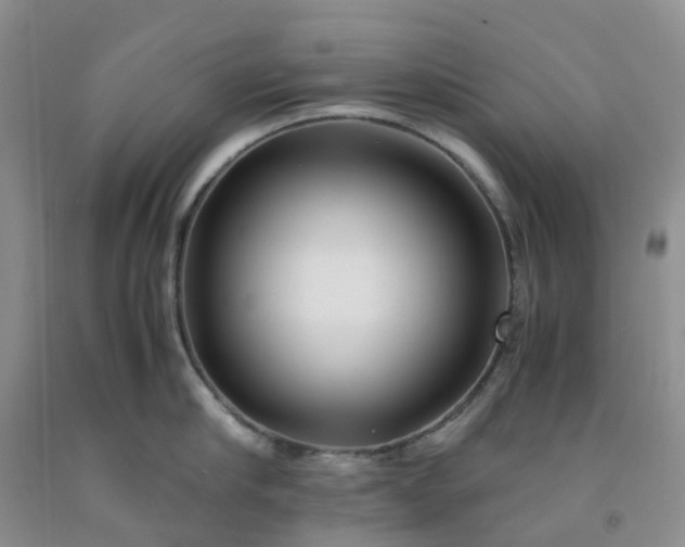 X0000091980910200709201424