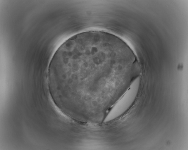 X0000091980911200709201424