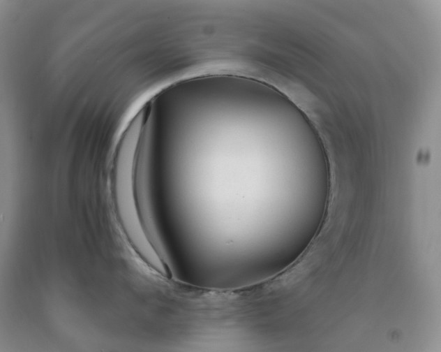 X0000091980912200709201424