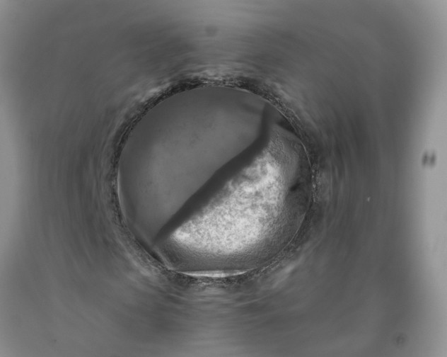 X0000091980913200709201423