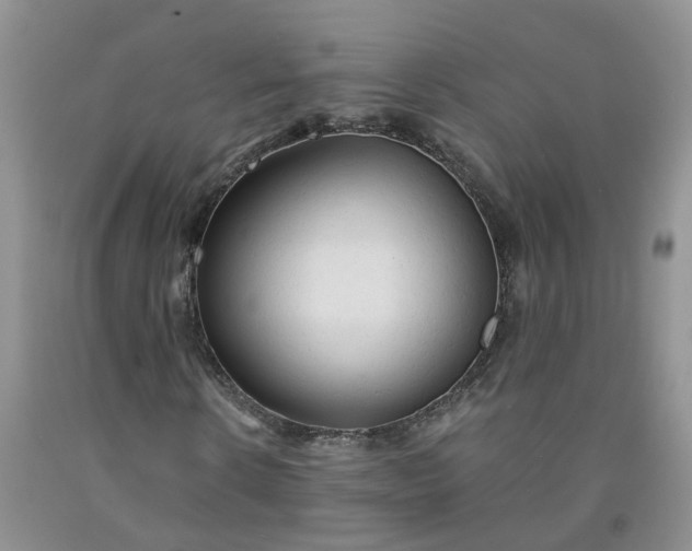 X0000091980914200709201423