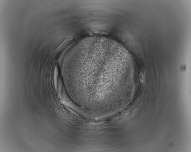 X0000091980915200709201423