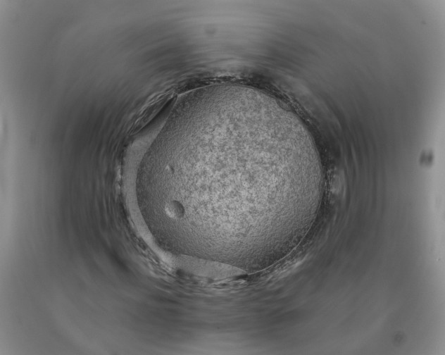 X0000091980916200709201423