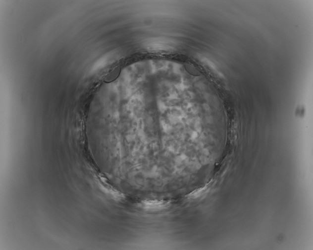 X0000091980917200709201423