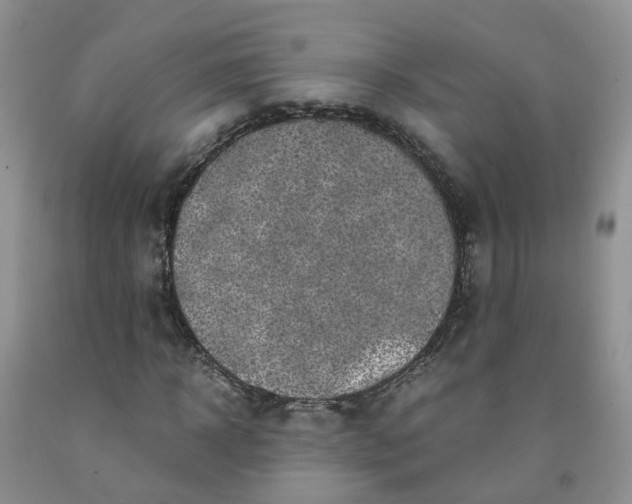 X0000091980918200709201423