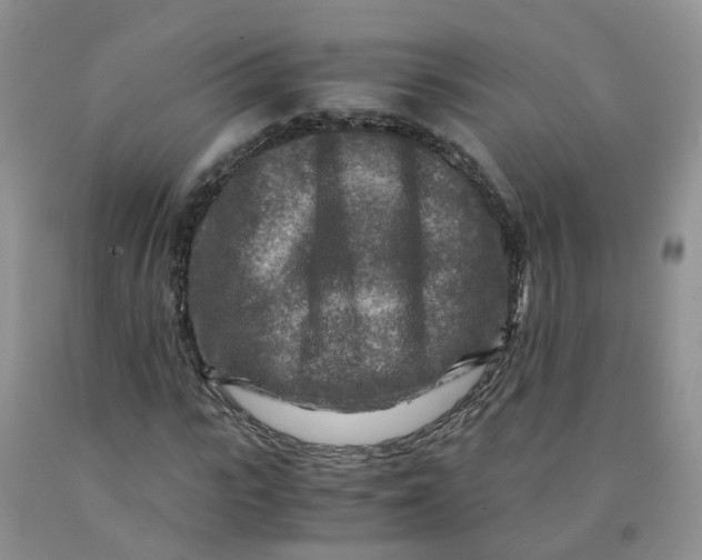 X0000091980919200709201423