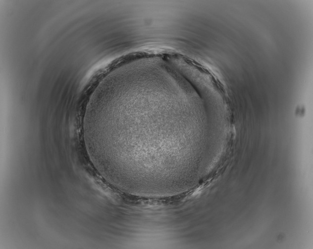 X0000091980920200709201423