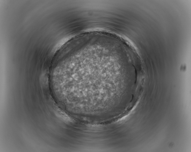 X0000091980921200709201423