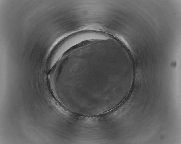 X0000091980923200709201423