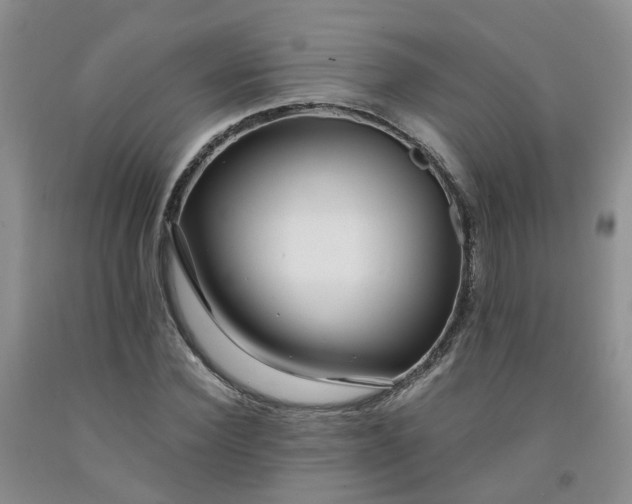 X0000091980924200709201423