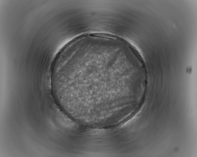 X0000091980925200709201423